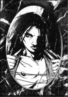 Vykos – Transylvania Chronicles II